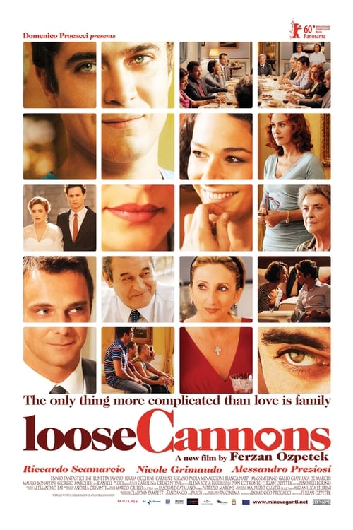 Watch Loose Cannons 2010 Full Movie With English Subtitles