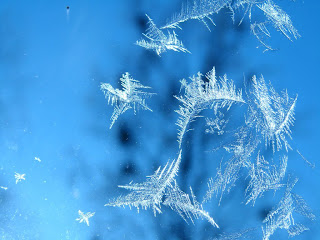 Wallpaper of Snowflakes