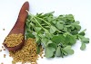 Fenugreek Seeds: Health Benefits of Fenugreek Seeds