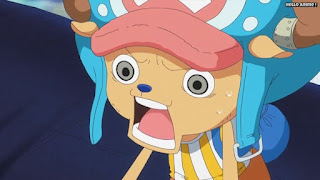 ワンピースアニメ 魚人島編 528話 チョッパー | ONE PIECE Episode 528