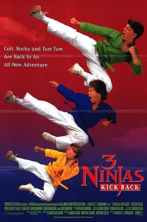 Regarder Ninja Kids 2 : Les 3 Ninjas contre-attaquent 1994 Film Complet En Francais