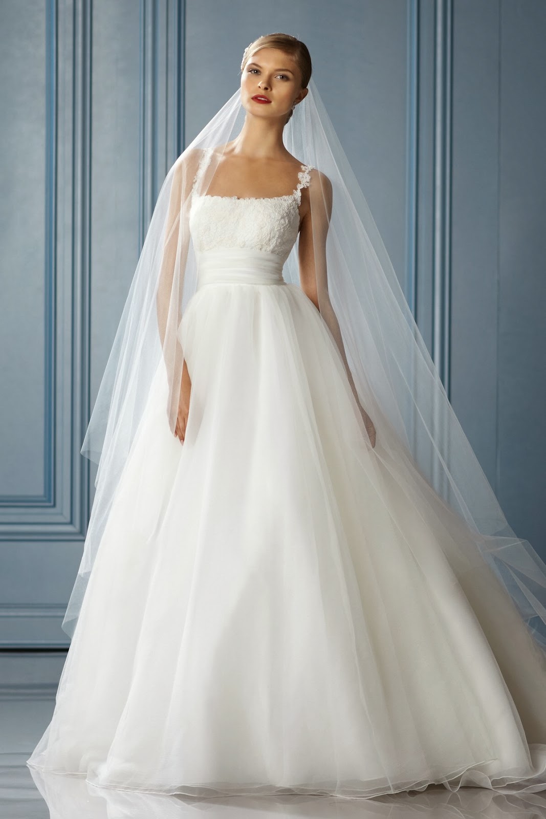 Bridal Celebration - Expensive Wedding Dress Collection 2013