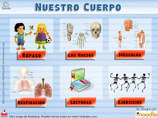 http://www.vedoque.com/juegos/el-cuerpo.swf