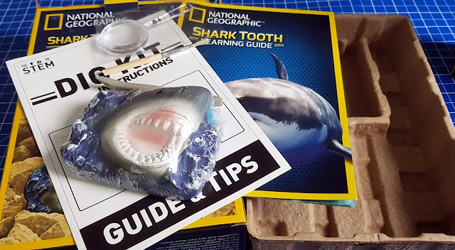 National Geographic Shark Tooth Dig Kit Review wha'ts in the box 