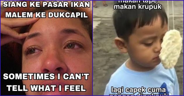 6 Meme Pantun Ungkapan Perasaan ke Gebetan Ini Kocak, Butuh Usaha Keras