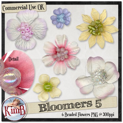 kb-bloomers5