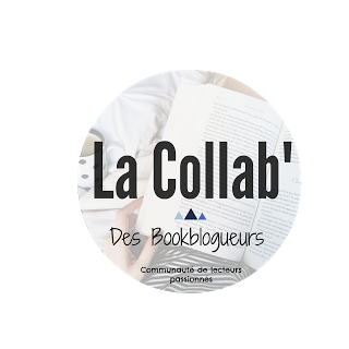 http://plume-de-chat.blogspot.fr/2015/05/la-collab-des-bookblogueurs-un-projet.html