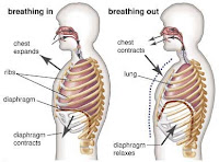 Types of Breathing Singing