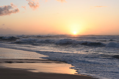 North Shore Waves