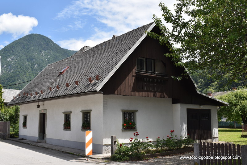 Slovenija, Gorenjska