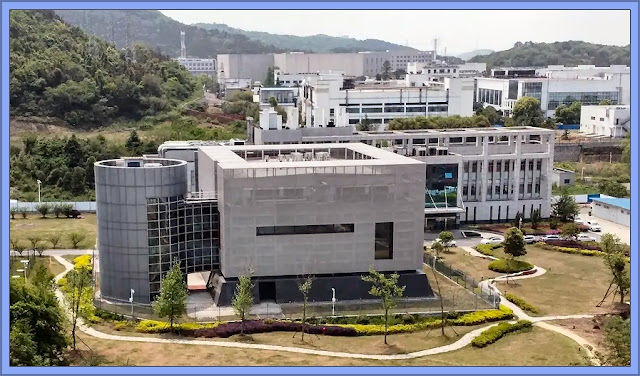 Wuhan Institute of Virology - French Technical Expertise