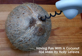 Have Fun with a Coconut 504 Main