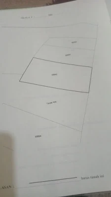 Dijual Tanah Driyorejo: Lokasi Strategis & Akses Mudah