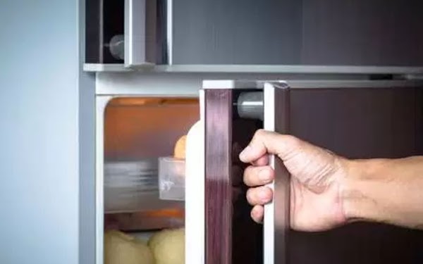 Hombre mantuvo cuerpo de su esposa 8 años en el refrigerador en Florida