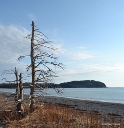 1-DSC_0066