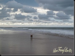IMG_8913 copy