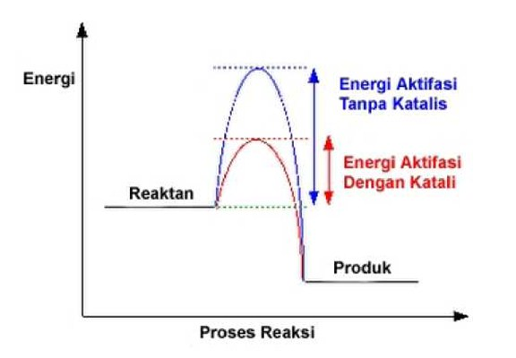 Ayo Belajar Katalis Dalam Kimia