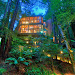 Tree House In The Forest, Mill Valley, California