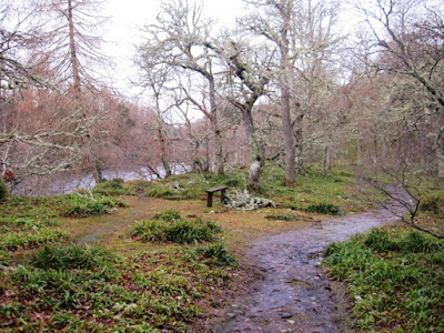 Deeside Walks: the path from Ballater goes along the River Dee