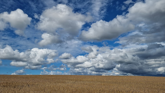 Wicko - Wzgórze Jeziorne