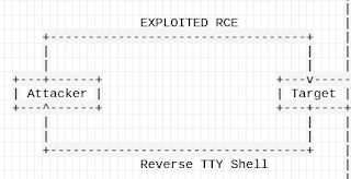 Spawning TTY Shell Linux