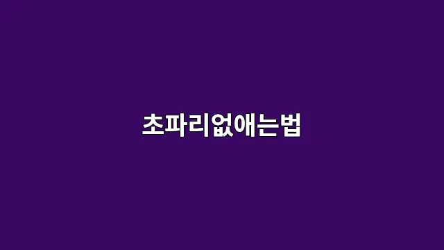 초파리없애는법