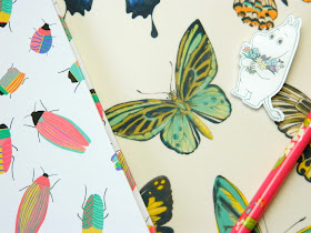 A photo showing two notebooks with insect designs on the covers, a floral pen and a Moomin pin badge 