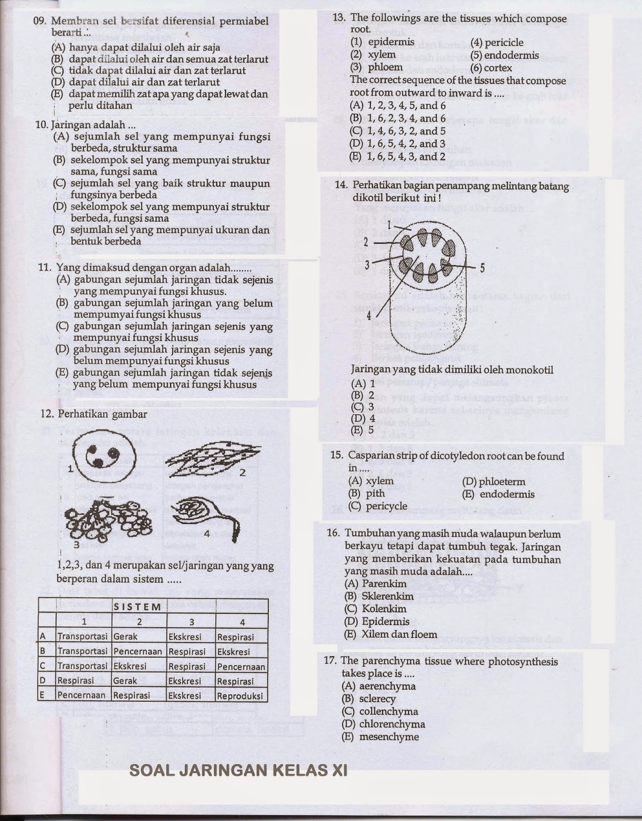 Silahkan dibaca untuk ujian mid semester 1 kelas XI ini sebagai Review materi belajarmu Jika bisa lumayan dah kemampuan bacamu hehehe