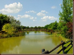 DSCF2043