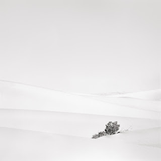 Death Valley Sand Dunes - Black and White Landscape Photograph