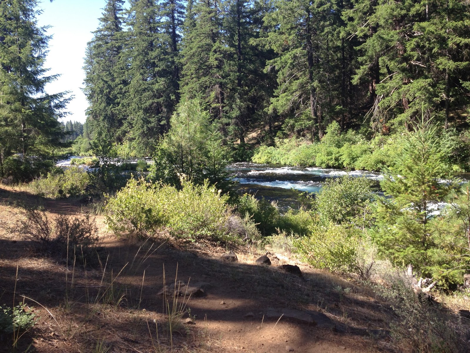 Nice Walk Right Along The River = Mommy Happy Family Too