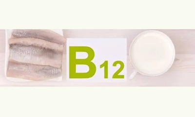 विटामिन B12 के स्रोत