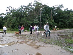 FDS Ecãologico 4 (379)