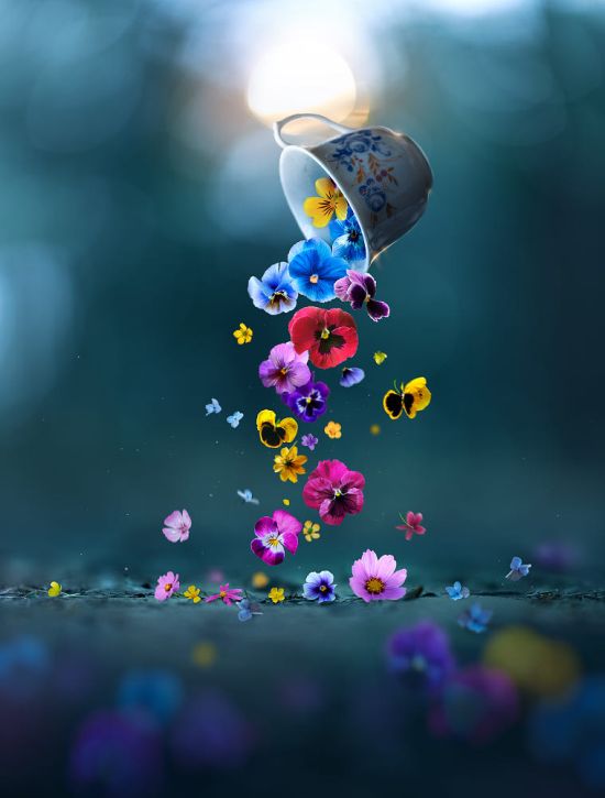 Ashraful Arefin 500px instagram arte fotografia surreal flores estações cores luzes