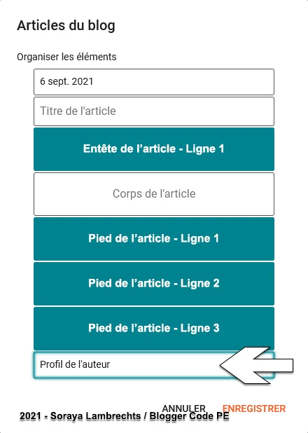 L'option profil de l'auteur n'est pas une option amovible.