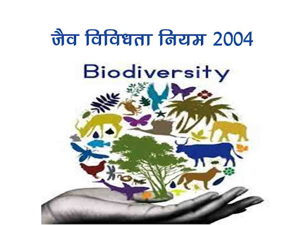 जैव विविधता नियम  2004 |Biodiversity Rules 2004