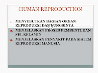 RANGKUMAN REPRODUKSI MANUSIA 