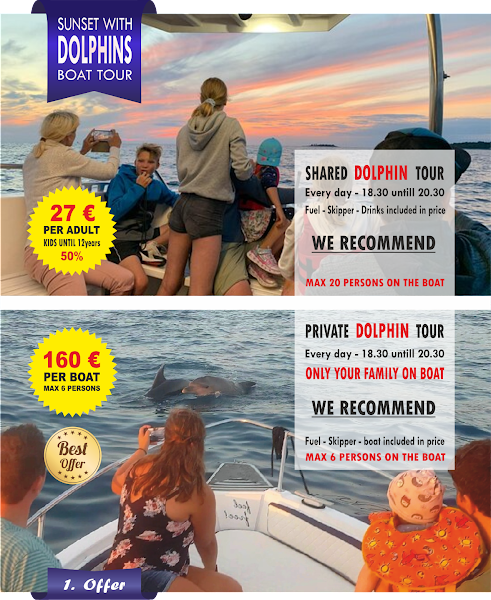 Private and shared dolphin tour