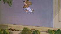 Tom And Jery Baby Puss Tập 12