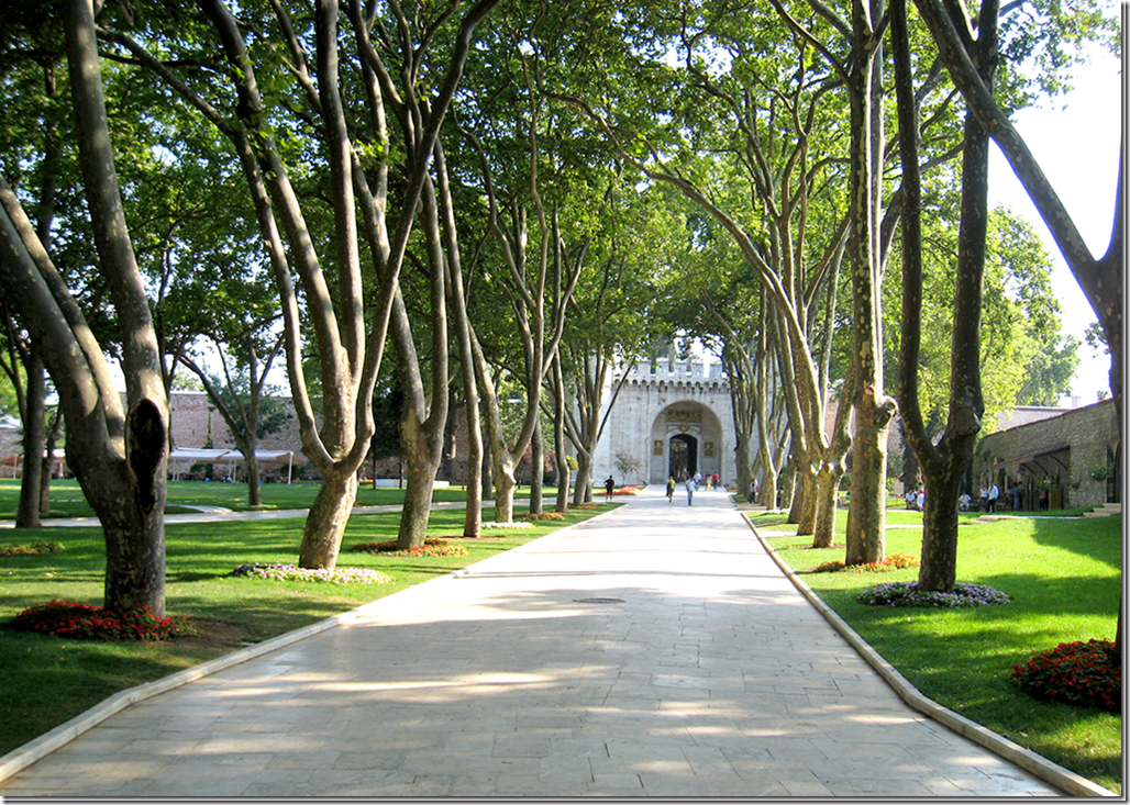 image_thumb41