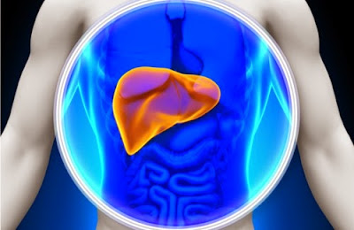 15 remedies to purify the liver heavy metal