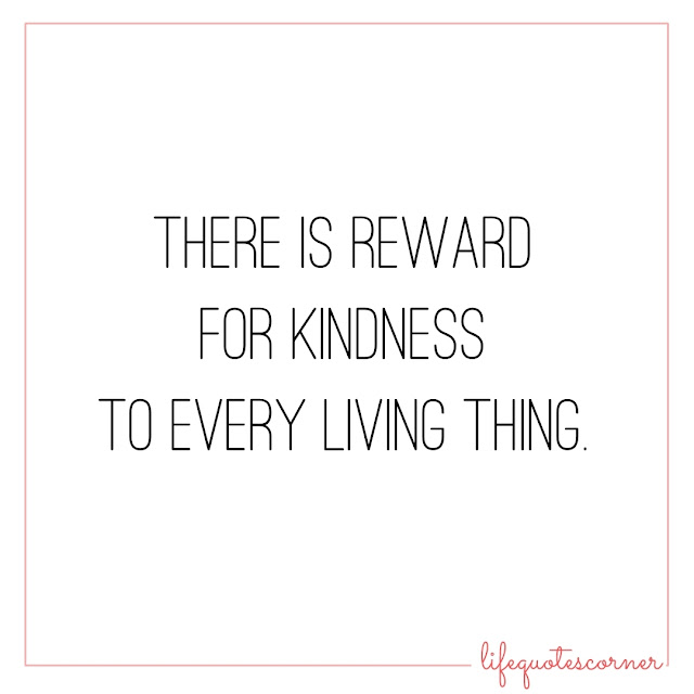 good vibes, inspirational quotes, instagram quotes, life, life quotes, pic quotes, quotes, self quotes, white background, kindness, reward