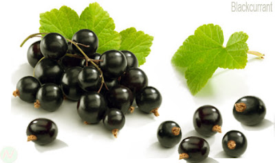 blackcurrant fruit