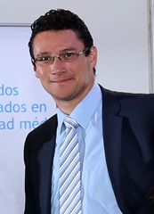 PERFIL HOLLMAN