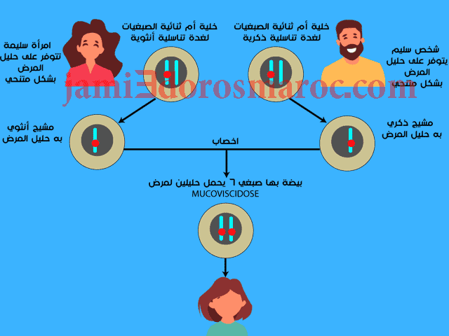 دور الصبغيات في نقل الأمراض الوراثية