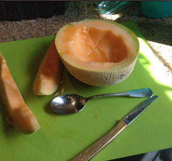 cantaloupe-2012-07-14-13-54.jpg
