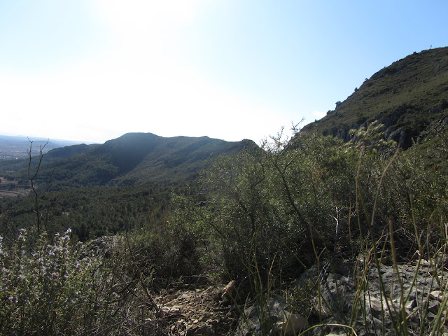 SERRA DEL MONTMELL (II) - Serra del Montmell