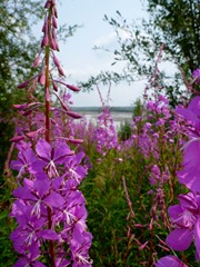 P1100522