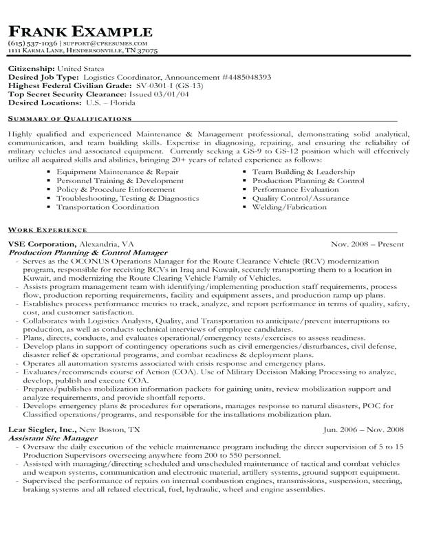resume writing for government jobs