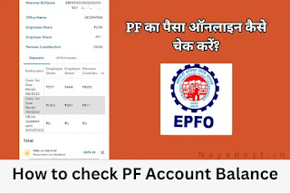 How to Check PF Account Balance 2023